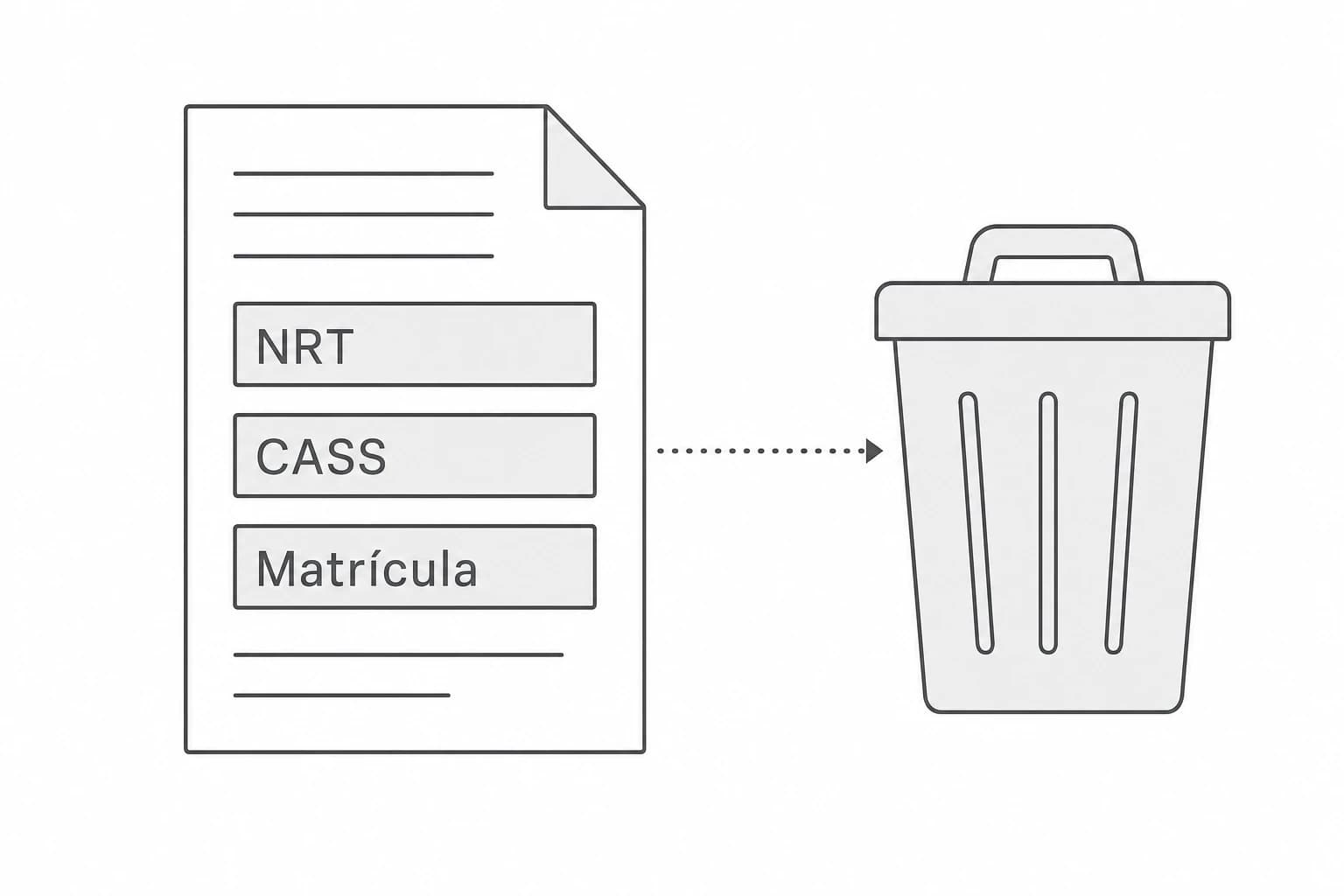 NRT, CASS i matrícula detectats, i l'original esborrat en acabar.